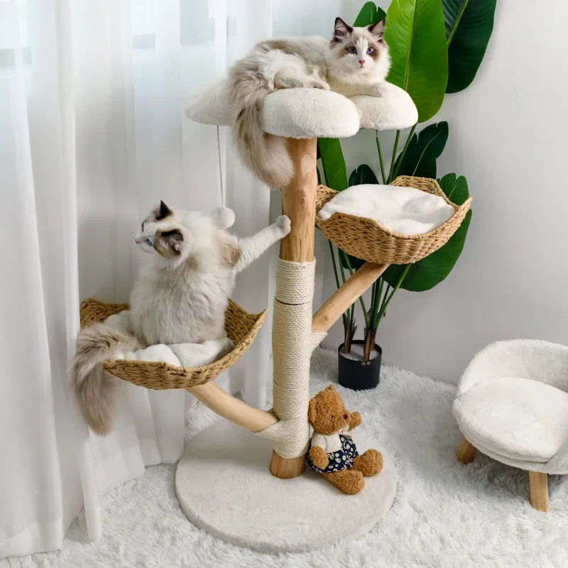 Cat Scratching Posts