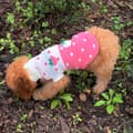 Strawberry Patch Turtle Neck Sweater