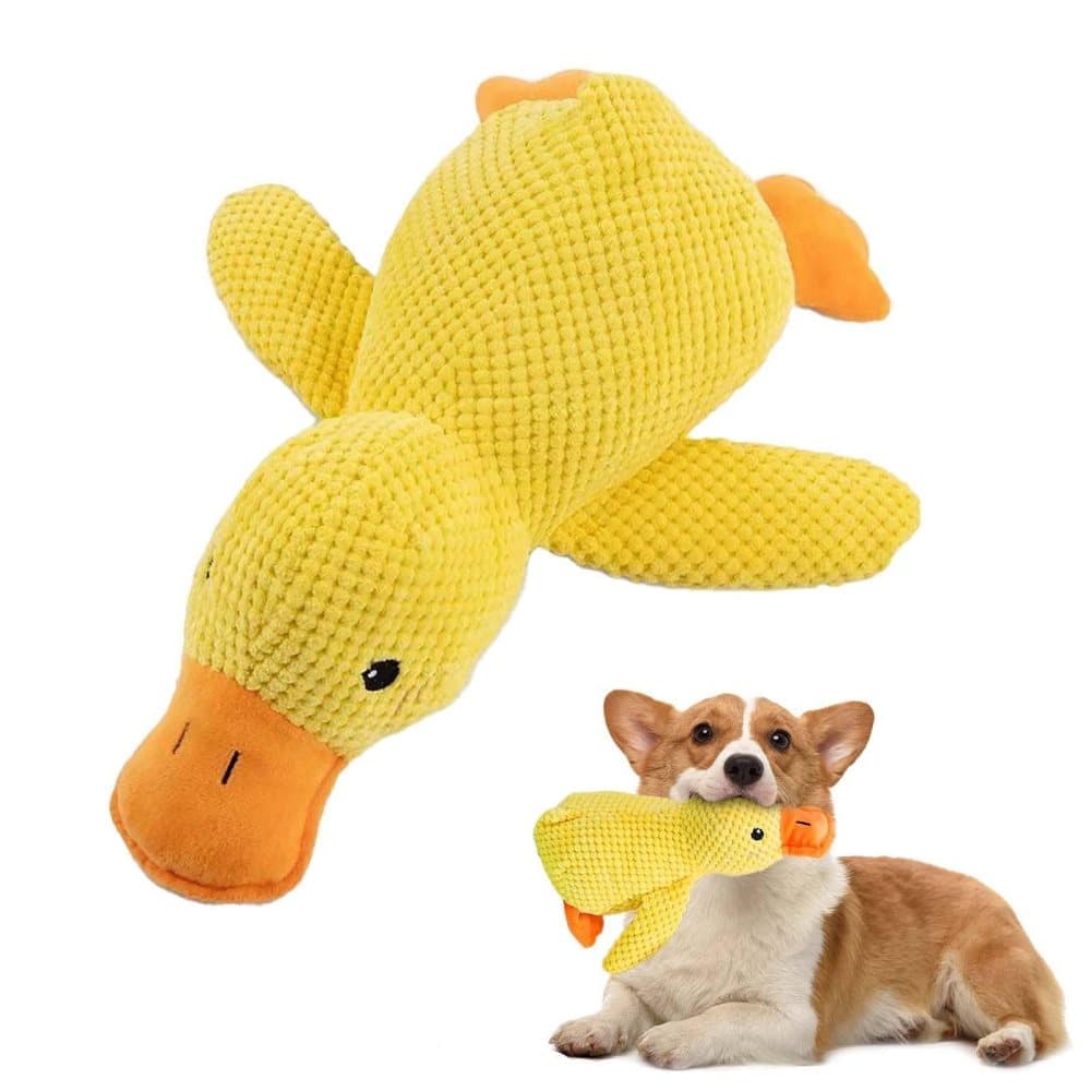 Interactive Duck Toy