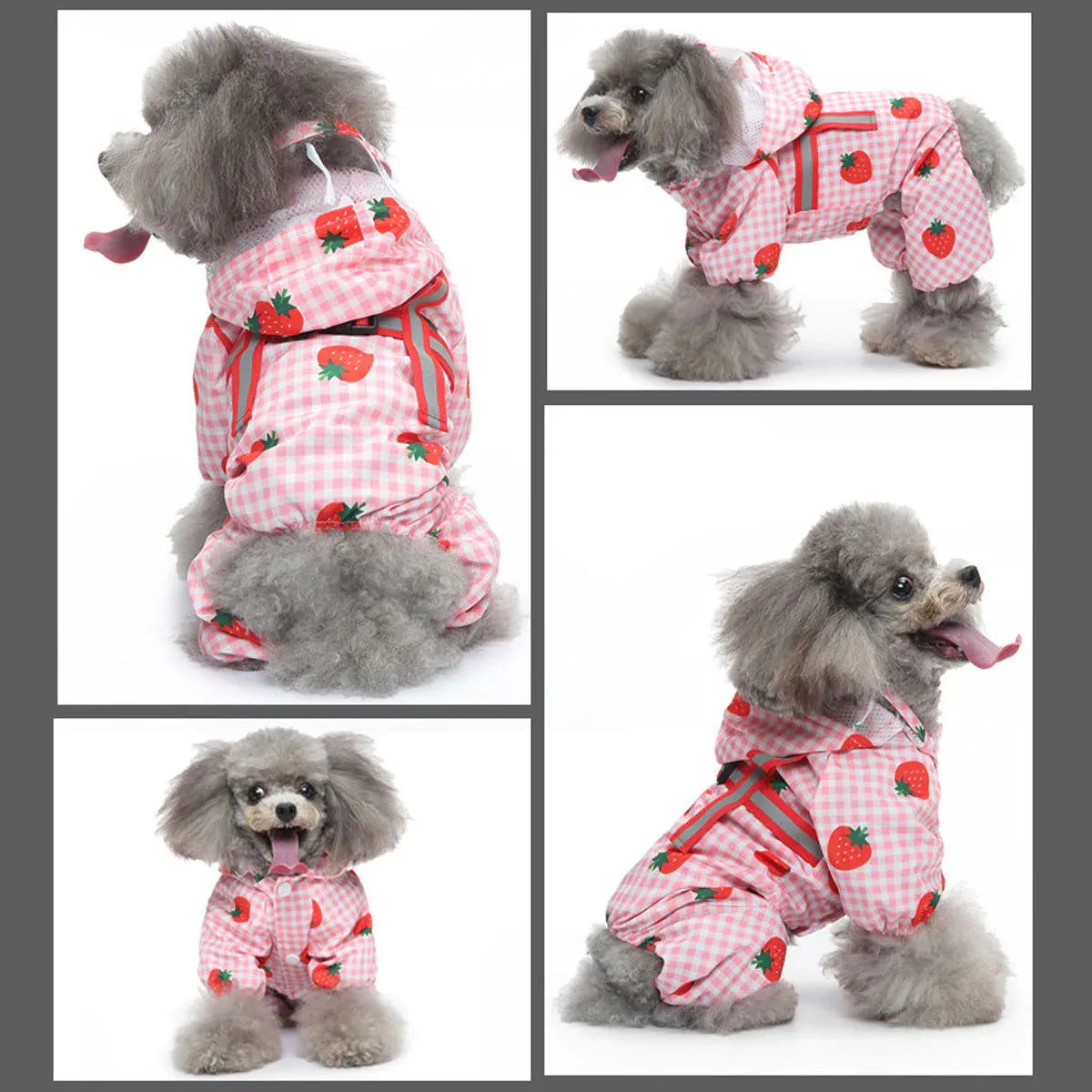 Strawberry Fields Reflective Raincoat